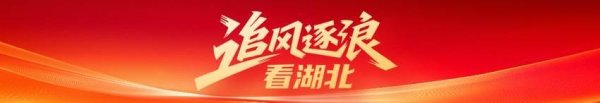 4项技术达世界一流！湖北设计的“绿船”拿下法国大单