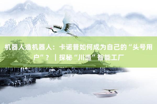 机器人造机器人：卡诺普如何成为自己的“头号用户”？｜探秘“川造”智能工厂