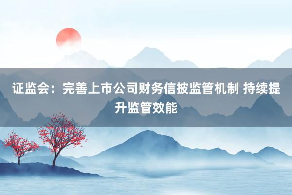 证监会：完善上市公司财务信披监管机制 持续提升监管效能
