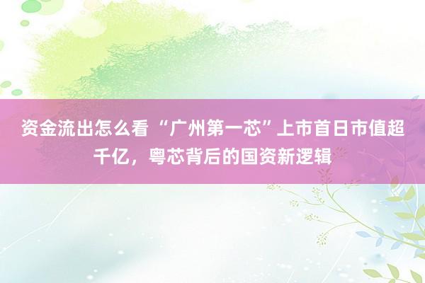 资金流出怎么看 “广州第一芯”上市首日市值超千亿，粤芯背后的国资新逻辑