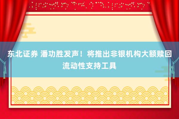 东北证券 潘功胜发声！将推出非银机构大额赎回流动性支持工具